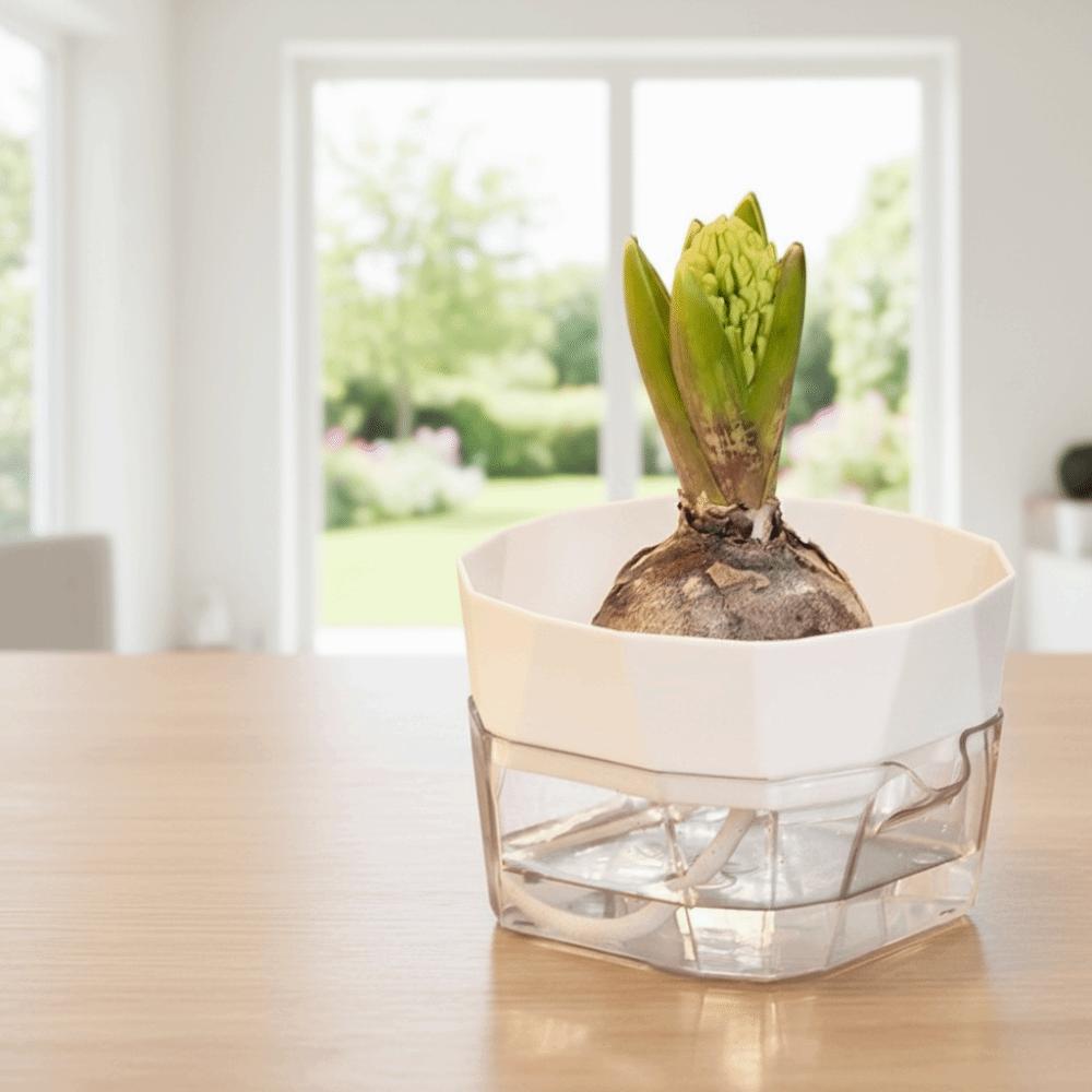 6PCS Root Visibility Hydroponic Container Eco-Friendly Plastic Butterfly Orchid Flowerpot Water Storage Lazy Flowerpot Hyacinth