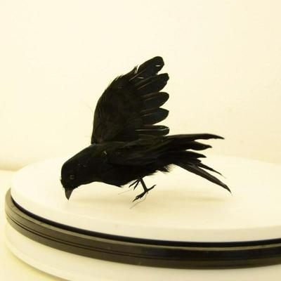 Saisonale Fälschung für Hausgarten DIY Miniaturen Vogelabwehr Gartendekor Vogelornament Krähenstatue Falsche Krähe