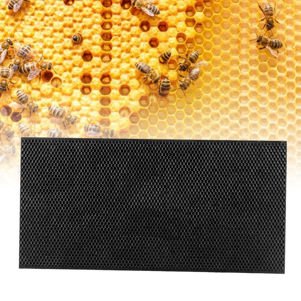 Black Color Beekeeping Frame Non-Toxic Beekeeping Tool Durable Beehive Frame Beekeeper Use