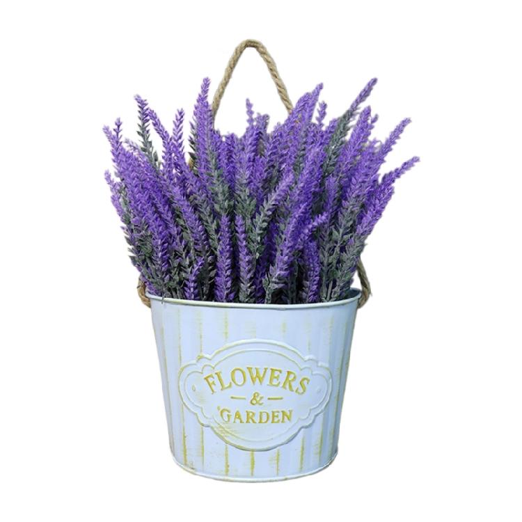 Hanging Small Iron Bucket Decorative Plant Pots Plant Hanging Pots Wall Hanging