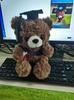 Graduation Doctor Teddy Bear Plush Toy - Commemorative Gift Doll