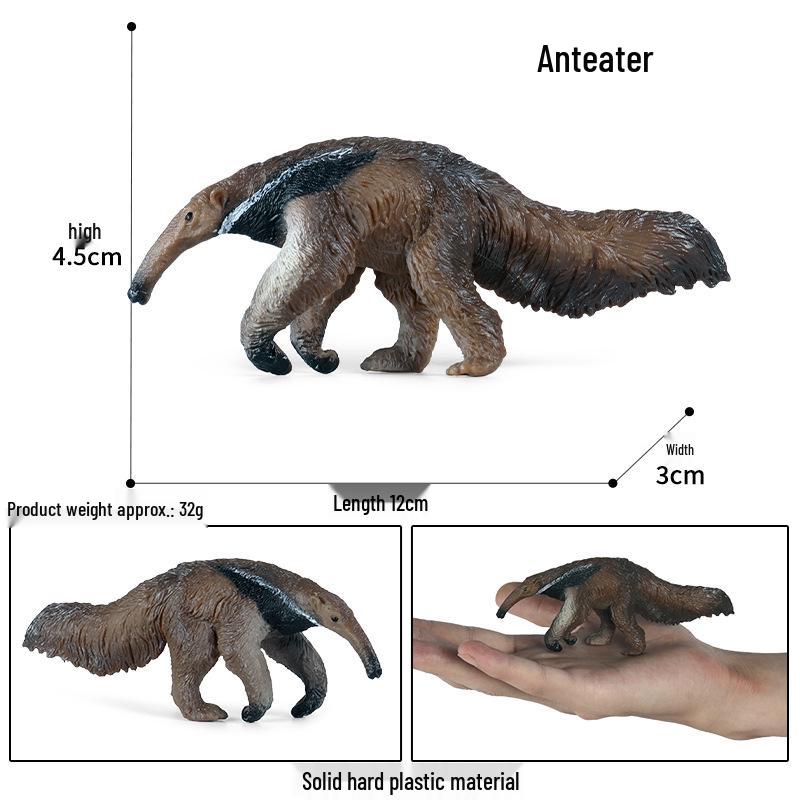 Pediatric Science Anteater Toy Model – Educational Wild Animal Figure