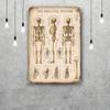 skeleton Vintage Tin Sign Home Decor Wall Decor Art Wall Mural Room Decoration Decor Retro Metal Sign Plate Bar Posters