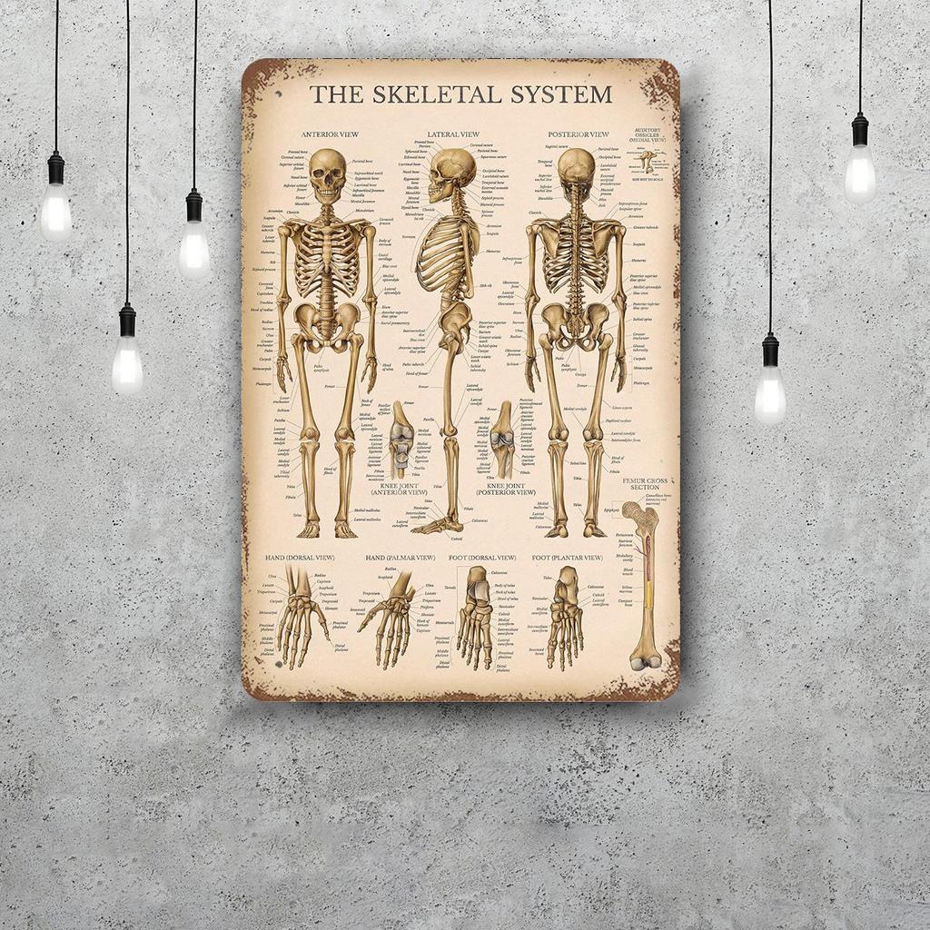 skeleton Vintage Tin Sign Home Decor Wall Decor Art Wall Mural Room Decoration Decor Retro Metal Sign Plate Bar Posters