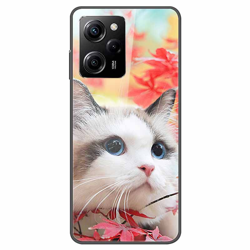 For Redmi Note 12 Pro Case Redmi Note12 5G Tempered Glass Hard Back Cover For Redmi Note 12 Pro Plus 5G Coque Starry Sky Case