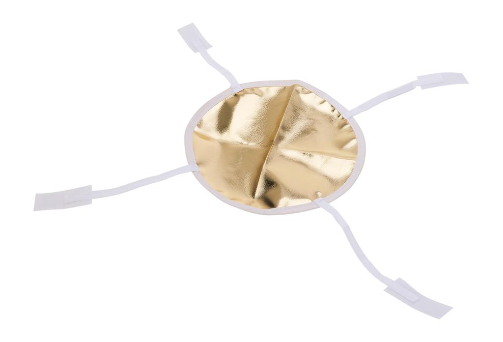 Aputure Light Dome Mini III Softbox