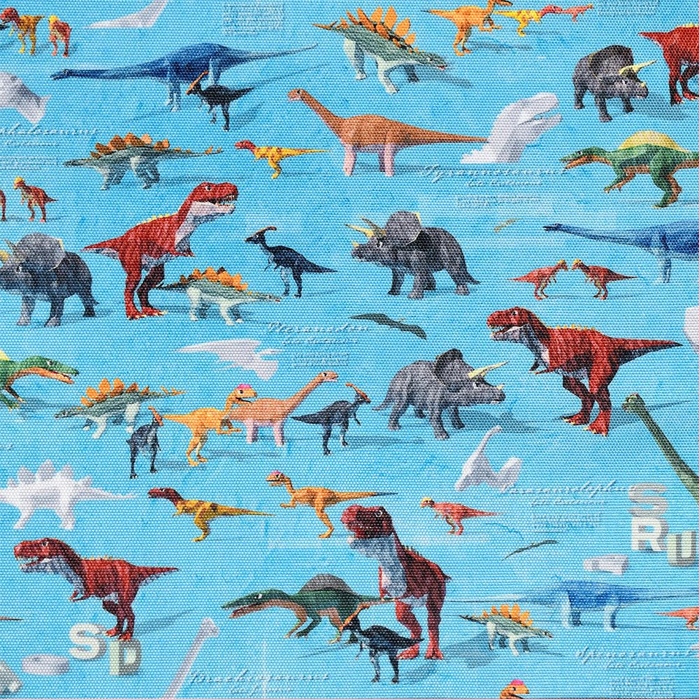 COLORFUL CANDY STYLE Cutlery Case for Dinosaur N4637700 Boys, Cloth, Children, Portable, Cute, Stylish, World,