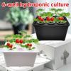 Self Watering Soil-Free Planting Box 6 Holes Nursery Pots Hydroponic Grower Kit  Outdoor Planting