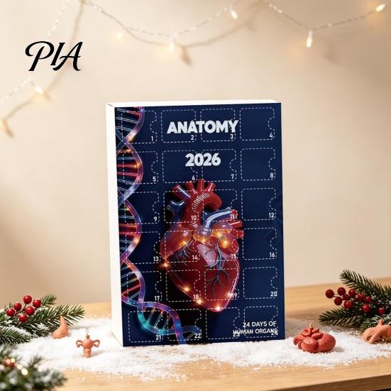 Medizinische Enthusiasten Sammlerstücke 2026 Anatomie Adventskalender, 24-Tage Körperorgan Schmuckset, Menschliche Anatomische Weihnachtsbaum Anhänger Hängend