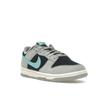 Nike Dunk Low Premium Dark Obsidian Green Frost Unisex Sneakers Blue Light-Pumice Coconut-Milk FB8895-001