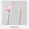 Multicolor Simulation Calla Lily Real Touch Floral Arrangement  Living Room