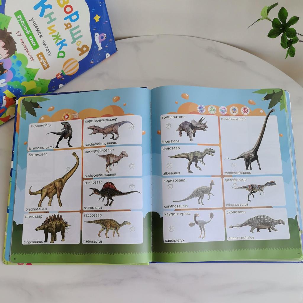 OZON Russian Talking Educational Sound Book: Rechargeable Model