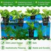 M-Modern-2 Pk Aquarium Plant Holder With 1.57-Inch Extension Hooks And Suction Cups , Suitable For Fish Tank Plant Potting