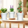 RooTrimmer Set of Pots with Stylish Agave Succulent Plant Plastic Pot with Drain Hole for Houseplants 7 3-Piece Saucers, Planter, Pot, (No. No. 7.5