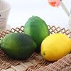 Simulation lemons Decorative Fruit Home Decor Artificial Lemons Simulation