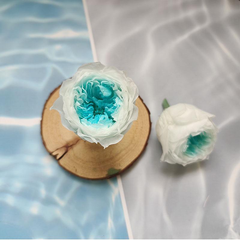 Blue Series Dried Flower DIY Kit: Hydrangea, Thousand-Layer Gold, Eucalyptus Leaf Souvenir Decoration