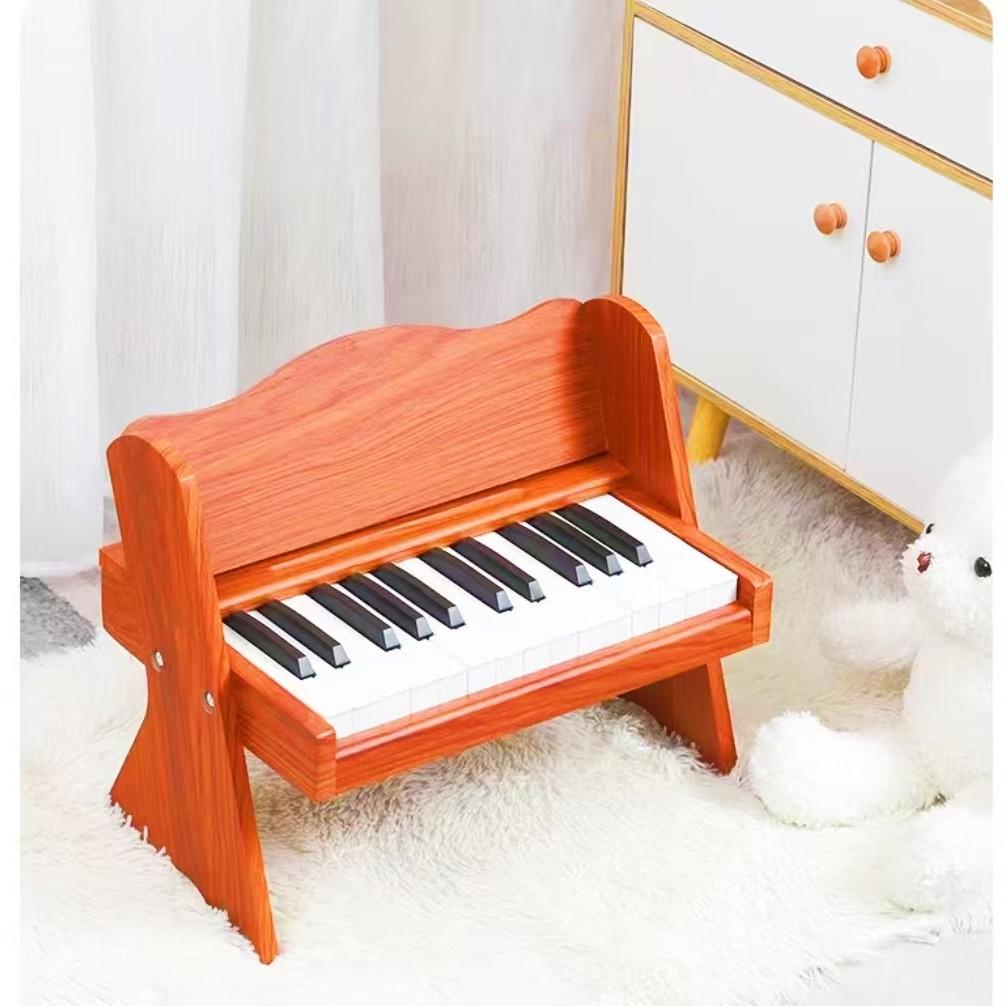 25-Key Children s Beginner Piano - Electronic Keyboard Toy for Boys and Girls