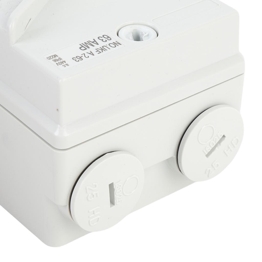 Enclosed Motor Disconnect Switch 63A 2 Pole IP66 Water Proof Industrial Outdoor Heavy Duty Breaker Box for Generator Boat