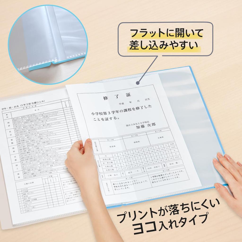 Plus Pocket Report Card Horizontal 10 Pack of Light x 10 File, File, Insert, Pockets, 10, Blue, FL-198GD, 79-971