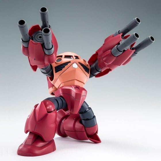 HG Gock 1/144 Amazing's