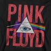 Pink Floyd Childrens/Kids Allseeing Prism Pull Over Hoodie