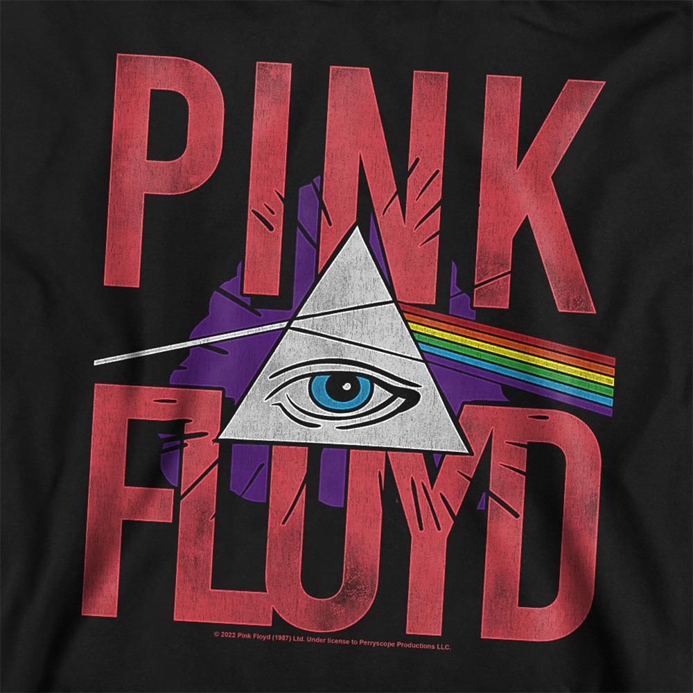 Pink Floyd Childrens/Kids Allseeing Prism Pull Over Hoodie