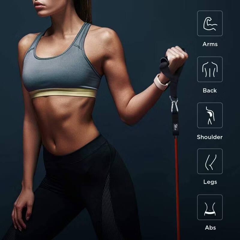 TLXT Latex Resistance Band Set