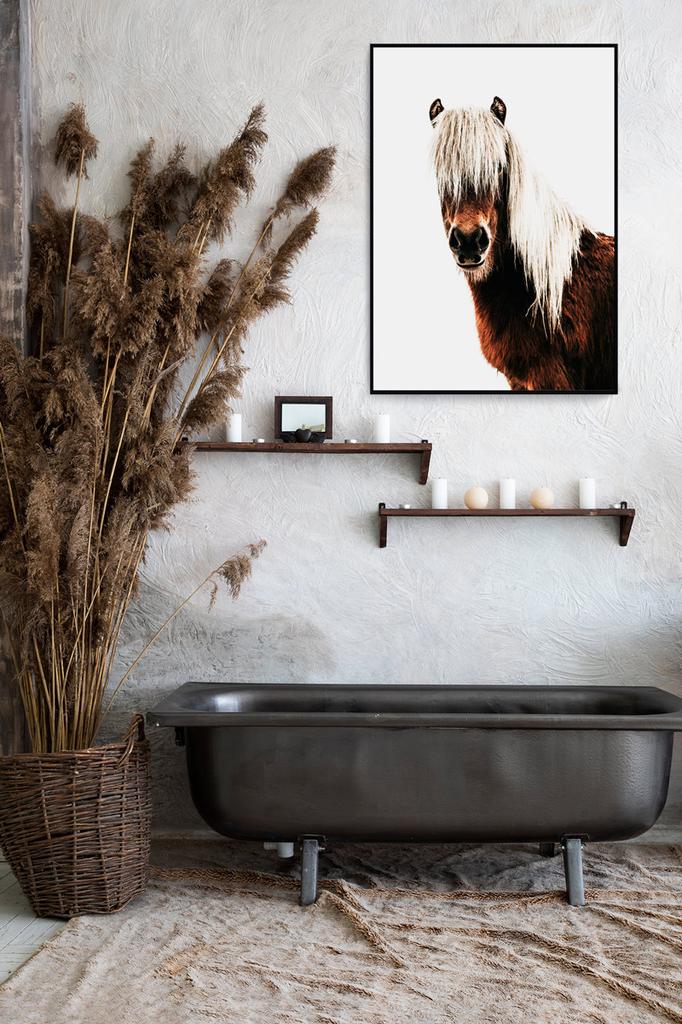 Plakat koń skandynawski