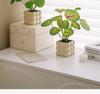 Nordic Indoor Desktop Bonsai: Artificial Green Plants for Office Decoration
