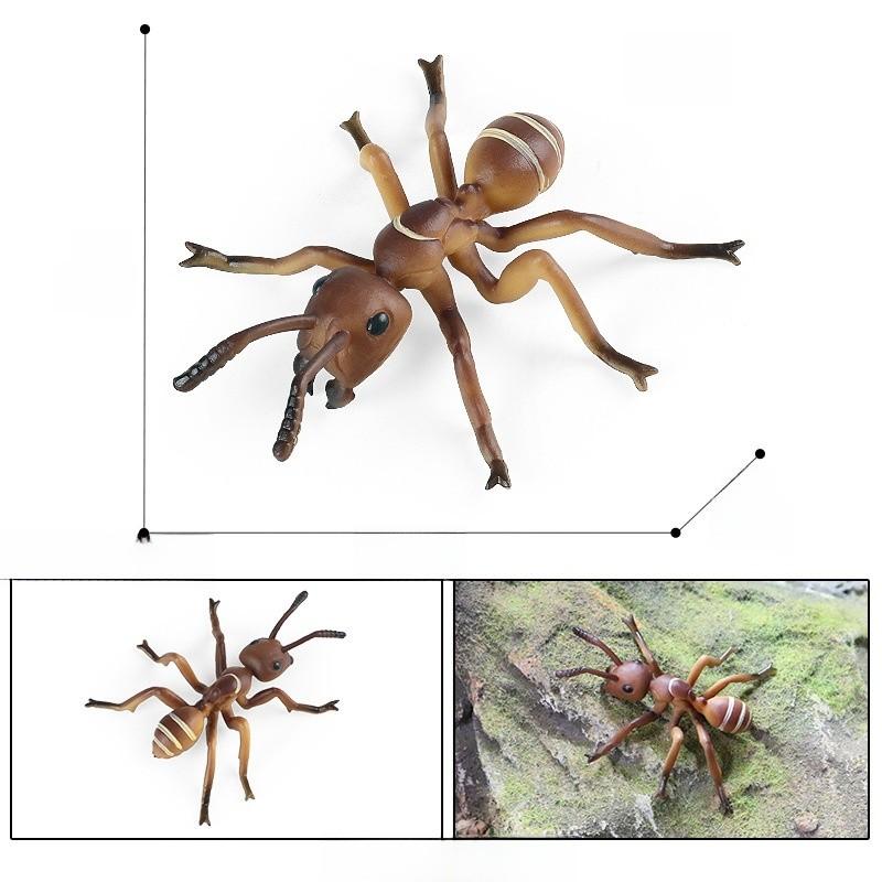 Educational Animal Insect Model Pack Plastic Figures Kid Learning Schooling Home