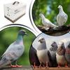 Parakeet Cage Foldable Portable Cage Bird Domestication Carrier For Indoor Outdoor Transport Yard Training Domestication