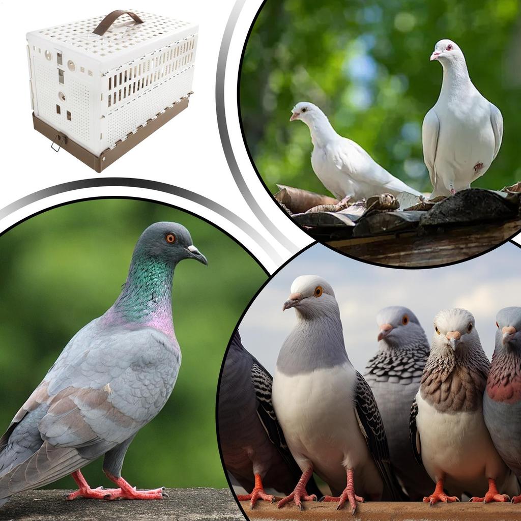 Parakeet Cage Foldable Portable Cage Bird Domestication Carrier For Indoor Outdoor Transport Yard Training Domestication