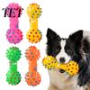Outdoor Interactive Fetch Toys Squeaky Dumbbell Dog Toy, Vinyl Chew Spiky Teeth Oral Health Care Cleaning Toy for Small Large Dogs Play Puppy Teething