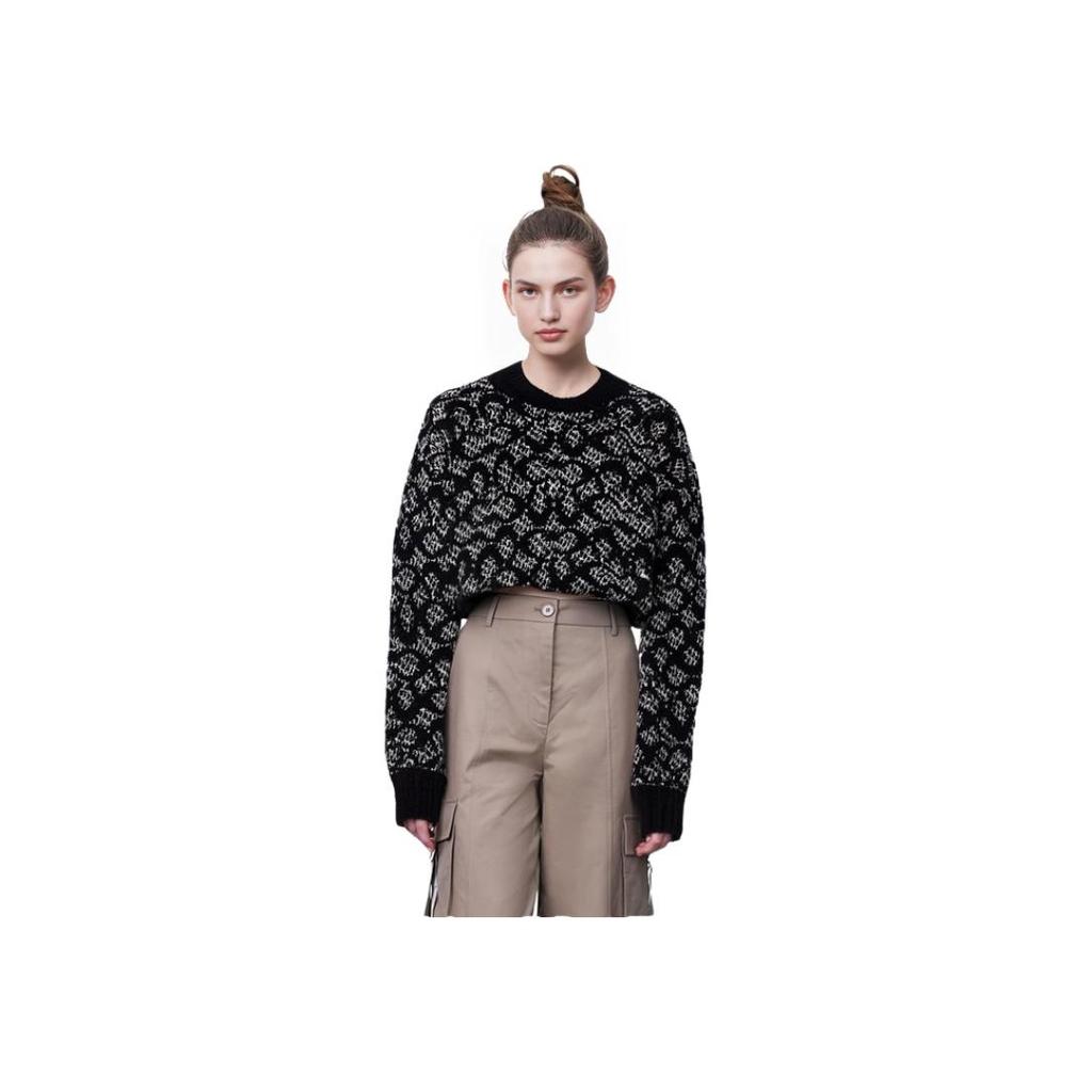 Coach FW22 Pattern Printed Loose Casual Crew Neck Long Sleeve Sweatshirt Women Sweatshirt Black CF886-BK-BR