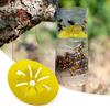 10/20 Pezzi Trappola per Vespe Strumento per Appendere Interni ed Esterni Efficace Trappola per Insetti Calabrone Catcher per Cortili da Giardino