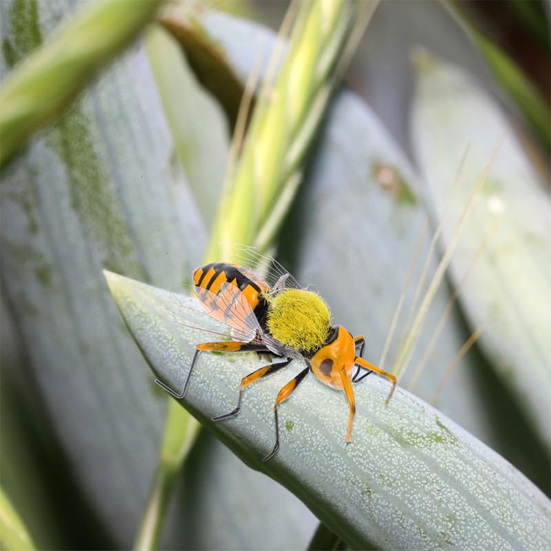 TOYANDONA Figuras de Abelha, Conjunto de 2, Modelos Realistas de Abelha Europeia, Modelos Educacionais de Insetos para Crianças, Decoração de Jardim, Figuras de Aprendizagem de Ciências, Animal
