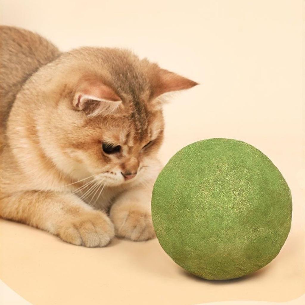 10cm Extra Large Catnip Ball Toy Interactive Teasing Chew Toy for Cats