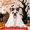 Halloween Theme Dog Ghost Cape Breathable Spooky Halloween Ghost Dog Costume Soft Lightweight Pet Transformation Costume Party