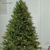 2025 Large Luminous Christmas Tree with Ornaments for Indoor Decoration
