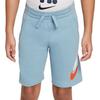 Nike Kids Shorts Moderate DB6990-494