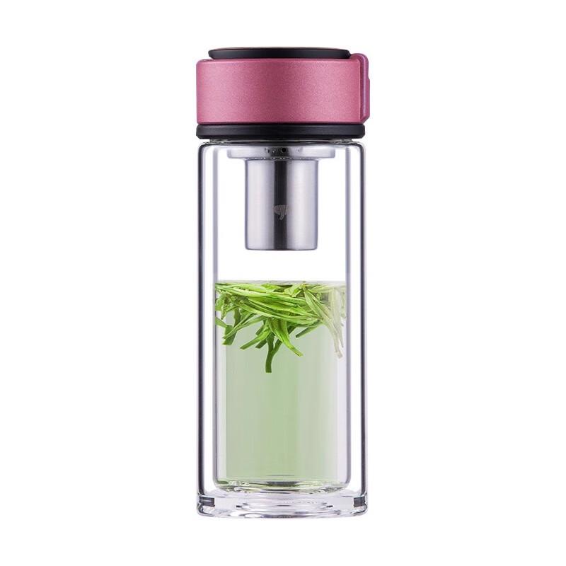 Vasn Double Wall Glass Tea Infuser Bottle