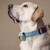 USB Rechargeable LED Safety Lights Silicone Magnetic Emergency Light Portable Run Light  Backpack