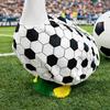 1 Set Football Porch Goose Costumes Football Goose Outfit And Bow Party Costume