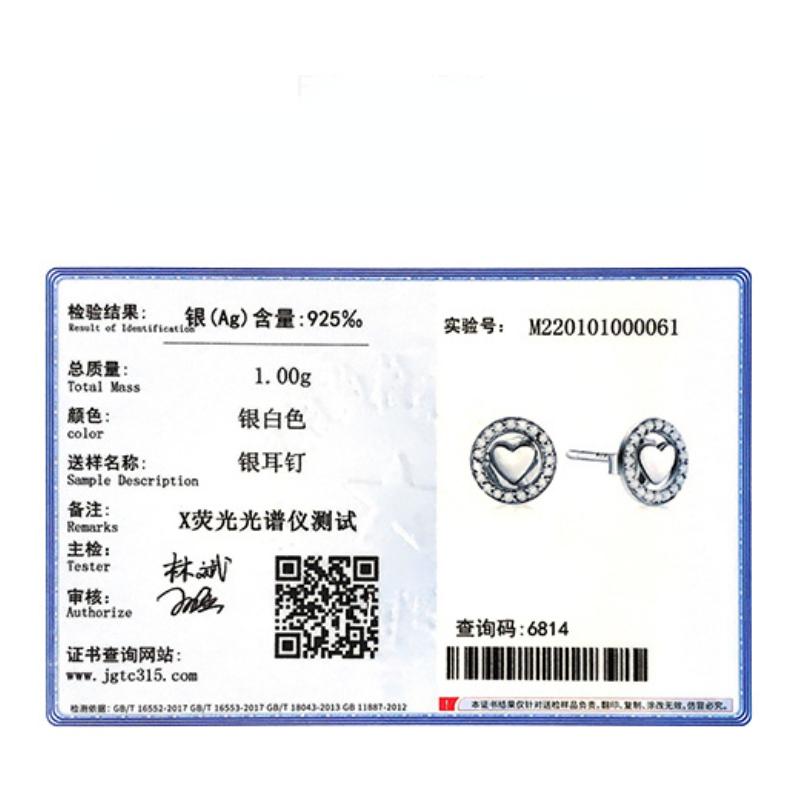 Tancise 925 Sterling Silver Zircon Earrings Drop Earrings For Women Wedding Party Gifts