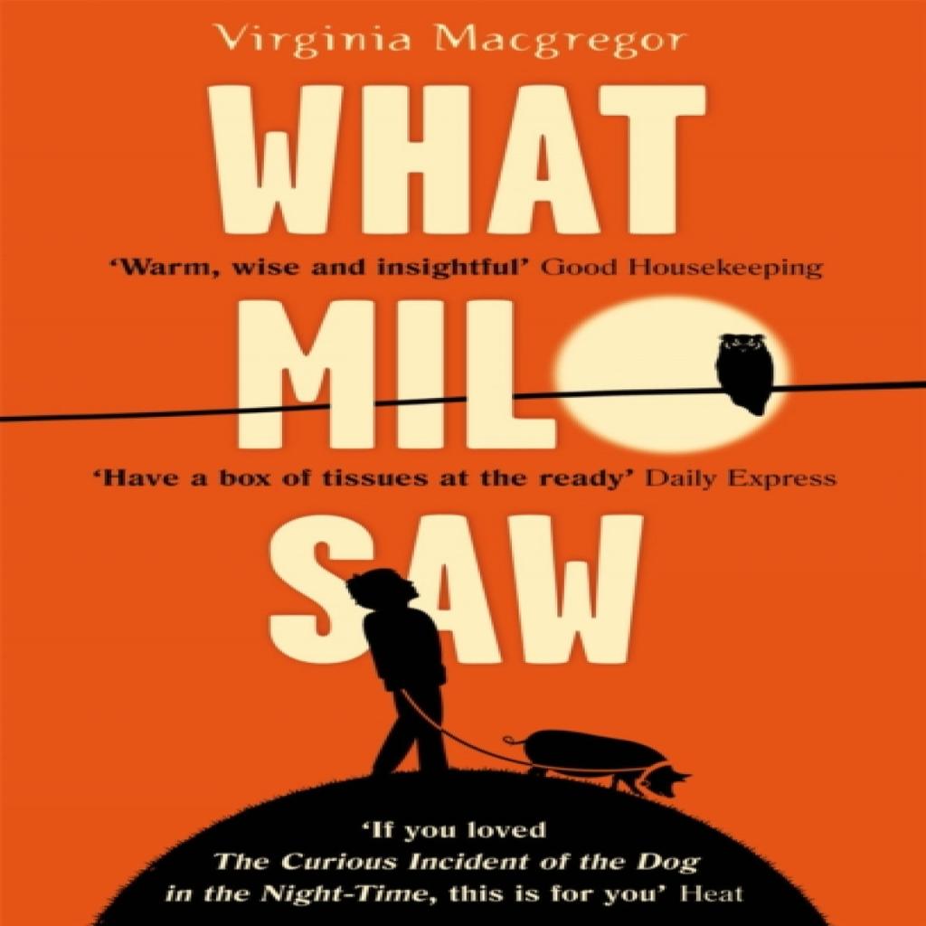 What Milo Saw by Virginia Macgregor Paperback Book 9780751554274