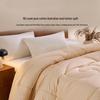Premium Australian Wool Antibacterial Winter Quilt