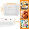 Deviled Egg Containers with Lid, (Set of 2), Plastic Deviled Egg Tray Carrier with Handle for 48 Eggs, Clear Storage Egg Platter for Devil Egg,