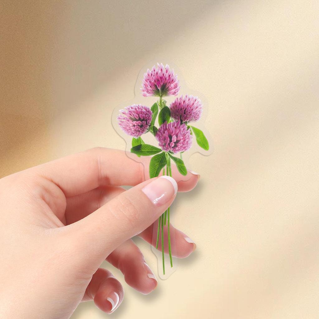 50 Sheets Flower Material PET Transparent Stickers, Realistic INS Style, Exquisite Girly Heart for Journaling, Storage Box Included