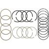 STD Engine Piston Ring Compatible with Buick Encore/with Chevy Cruze Sonic 1.4L L4 DOHC 16v 2011-2015, 25195065 55571045