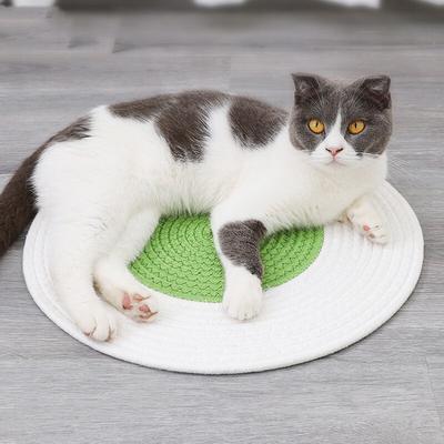 Kedi Kalorifer Yatagi Kedi Radyator Yatagi Petburada